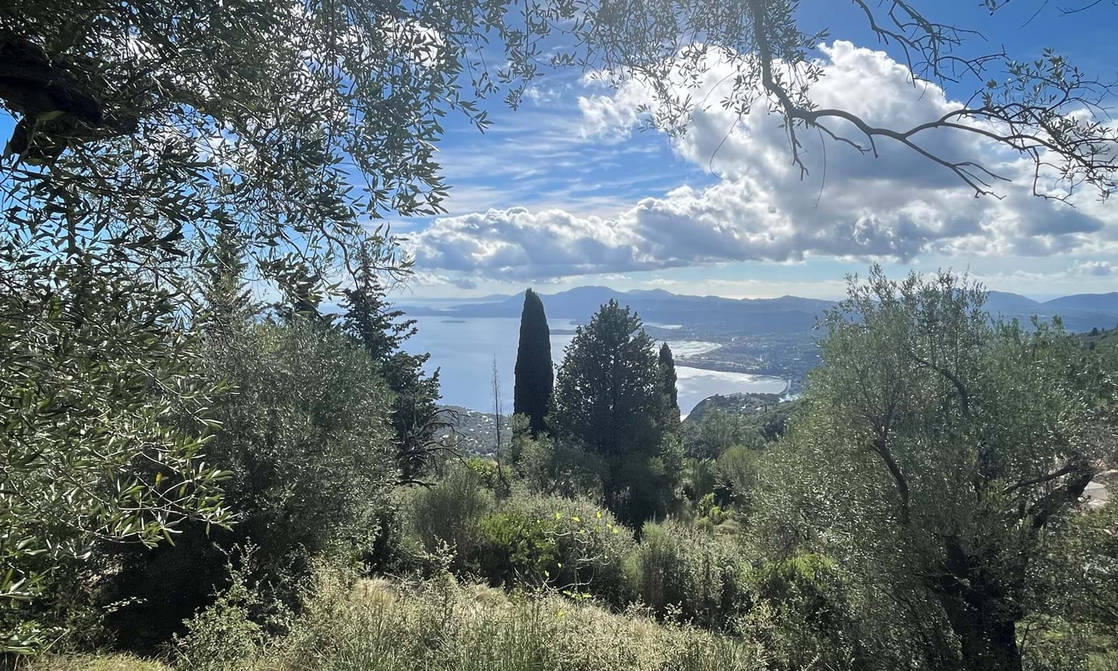 Listing photograph 1 of 8 of the land in Spartilas, published by Corfu Home Finders.
