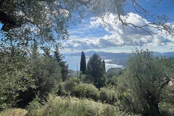 Image for property: 19015