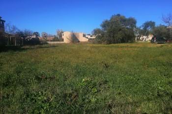 Image for property: 19027
