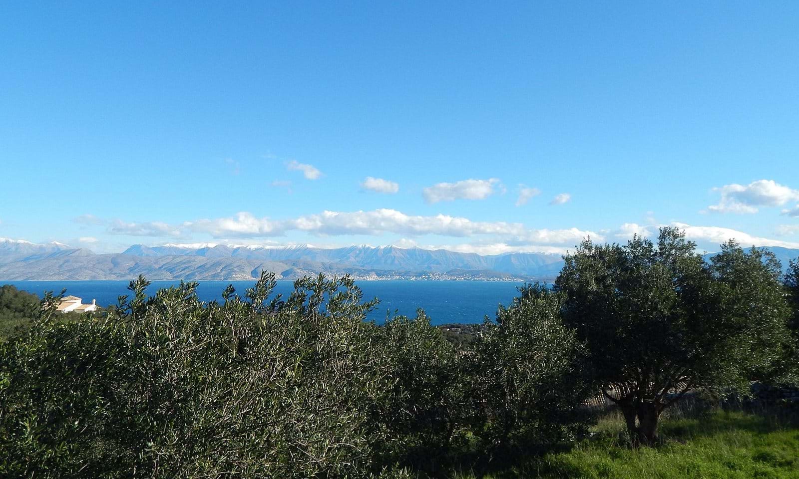 Listing photograph 3 of 9 of the land in Kassiopi, published by Corfu Home Finders.