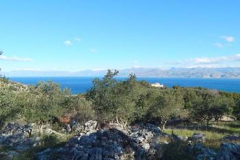 Image for property: 19049