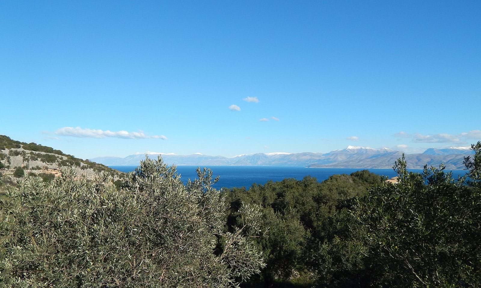 Listing photograph 5 of 9 of the land in Kassiopi, published by Corfu Home Finders.