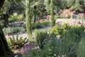 Med garden