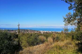 Image for property: 19063