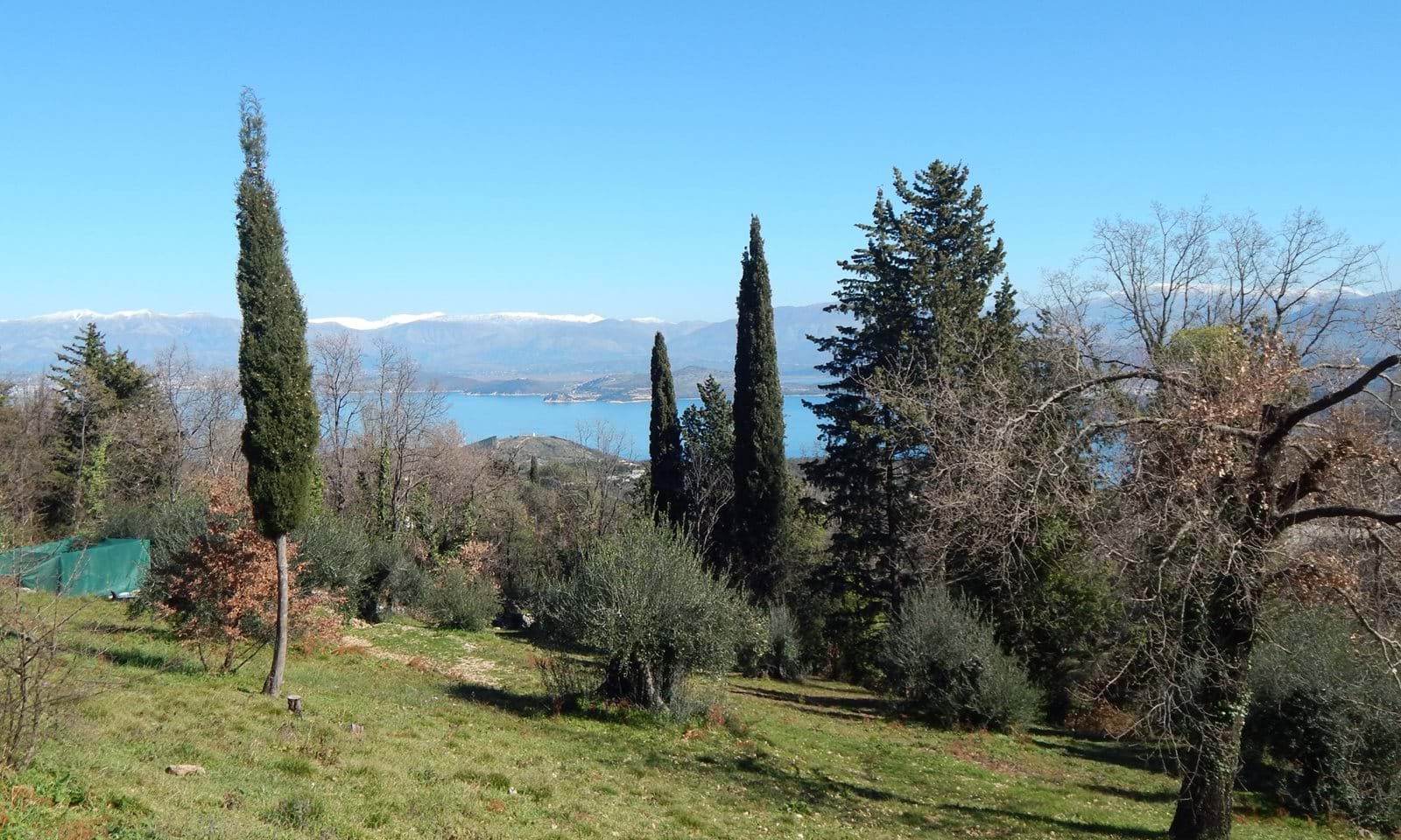Listing photograph 3 of 5 of the land in Kokkini, published by Corfu Home Finders.
