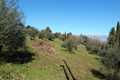 Image for property 19064