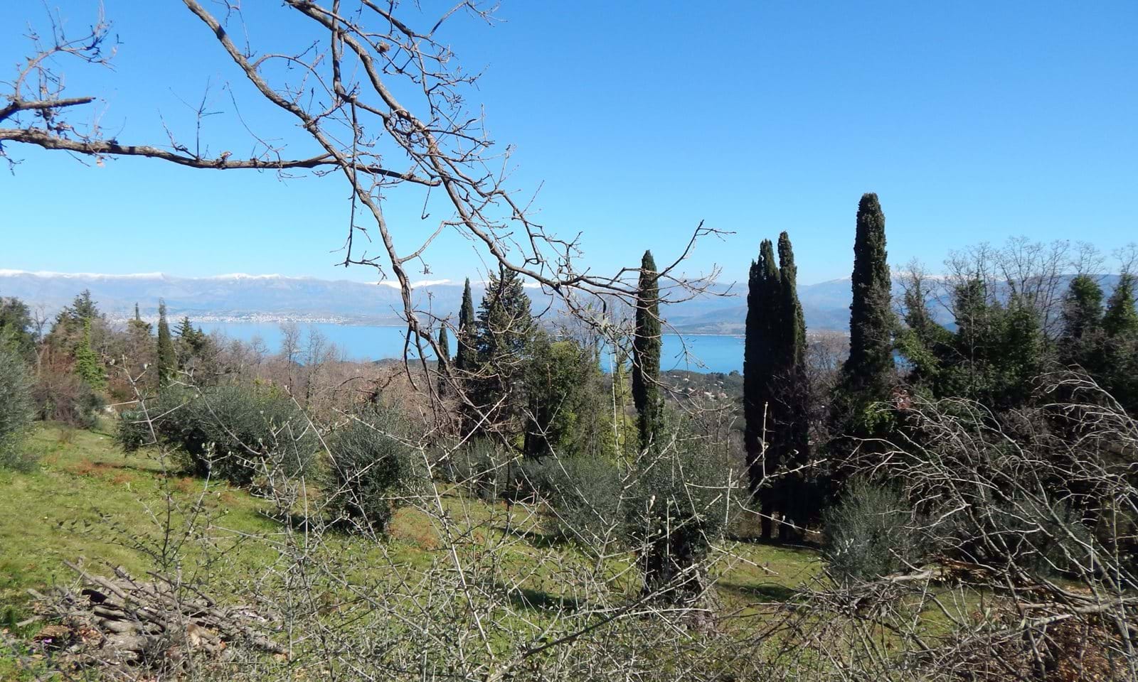 Listing photograph 2 of 5 of the land in Kokkini, published by Corfu Home Finders.