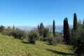 Image for property 19064