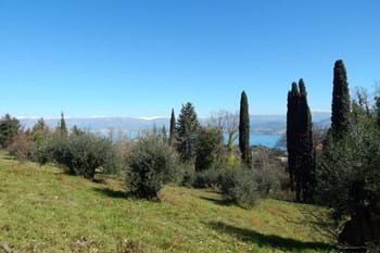 Image for property: 19064