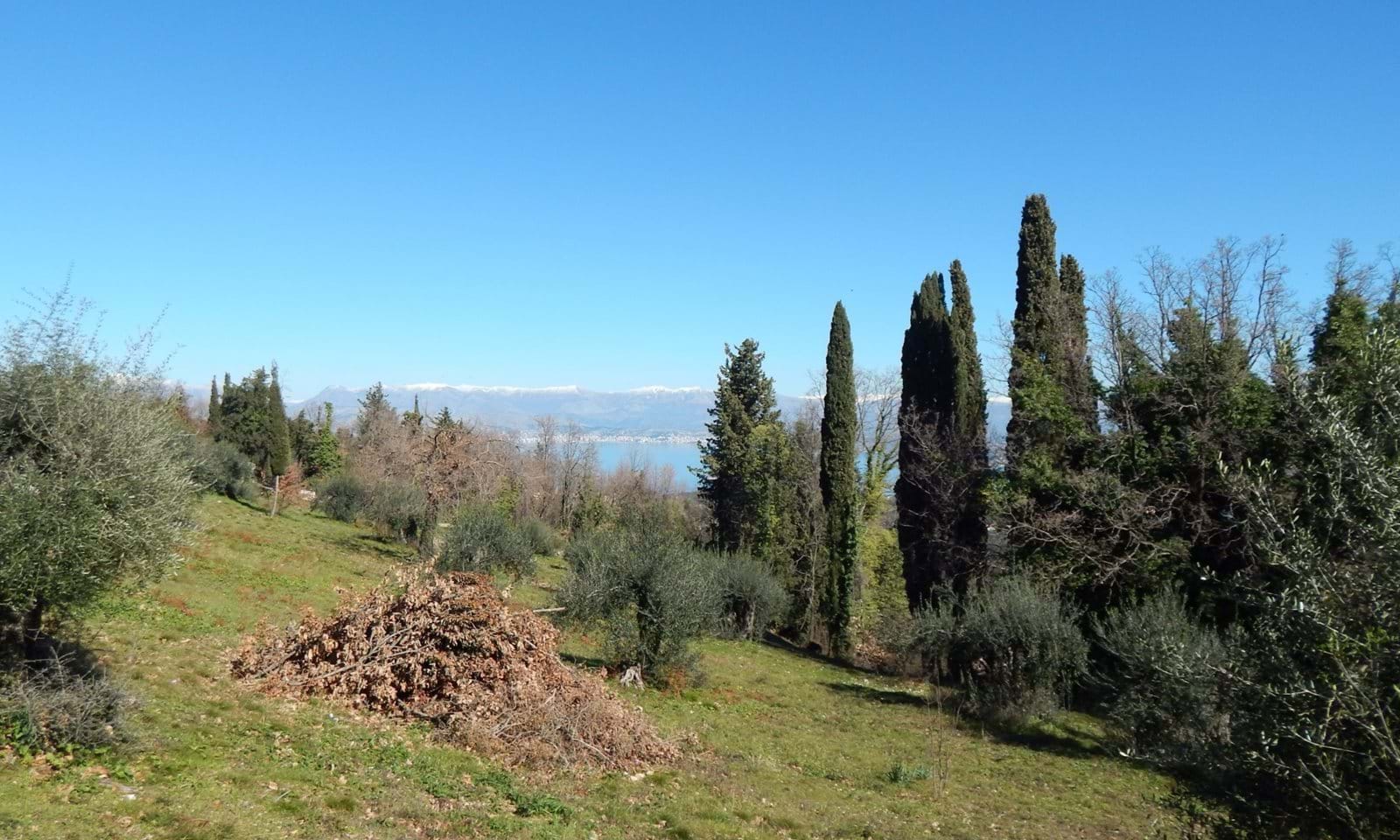 Listing photograph 5 of 5 of the land in Kokkini, published by Corfu Home Finders.