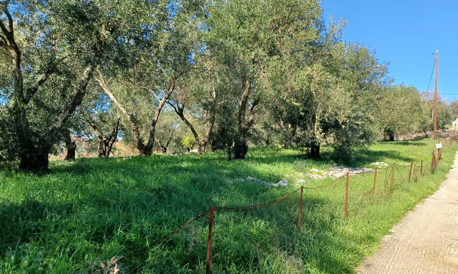 Listing photograph 6 of 7 of the land in Perithia, published by Corfu Home Finders.