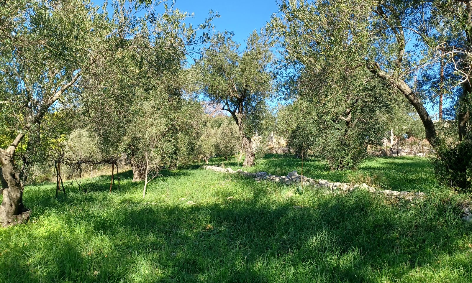 Listing photograph 3 of 7 of the land in Perithia, published by Corfu Home Finders.