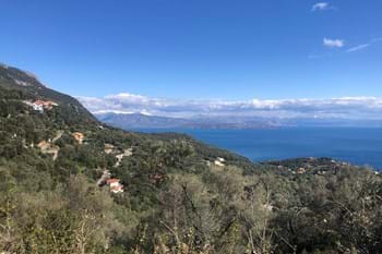 Image for property: 19071
