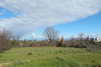 Image for property: 19073