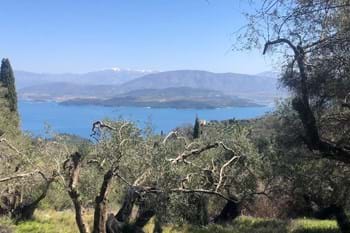 Image for property: 19087