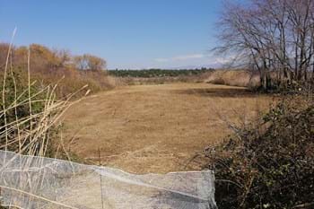 Image for property: 20105