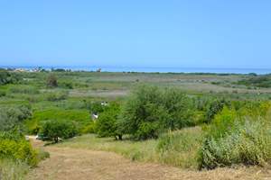 AGIOS SPIRIDON LAND, Agios Spiridon, Corfu