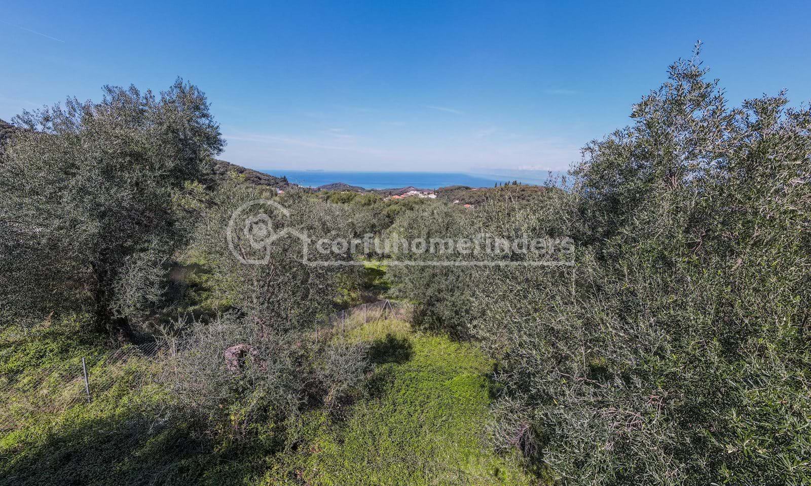Listing photograph 5 of 5 of the house in Agios Martinos, published by Corfu Home Finders.