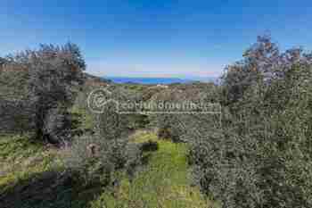 Image for property: 20123