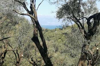 Image for property: 20124
