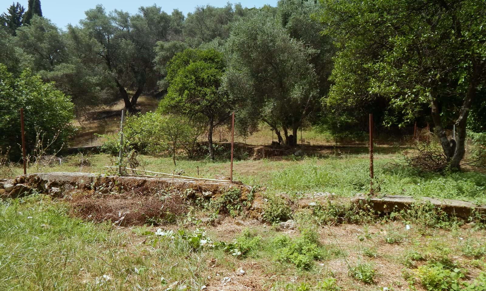 Listing photograph 7 of 17 of the house in Ano Korakiana, published by Corfu Home Finders.