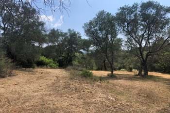 Image for property: 20157