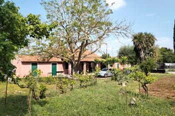 Image for property: 20164