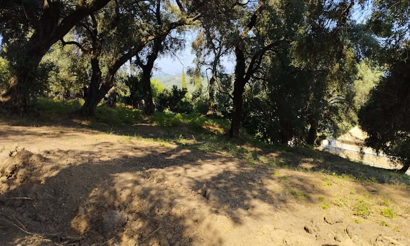 Listing photograph 3 of 5 of the land in Karousades, published by Corfu Home Finders.