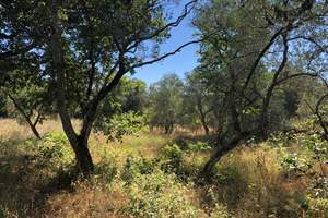 KOULOURI LAND, Gouvia, Corfu