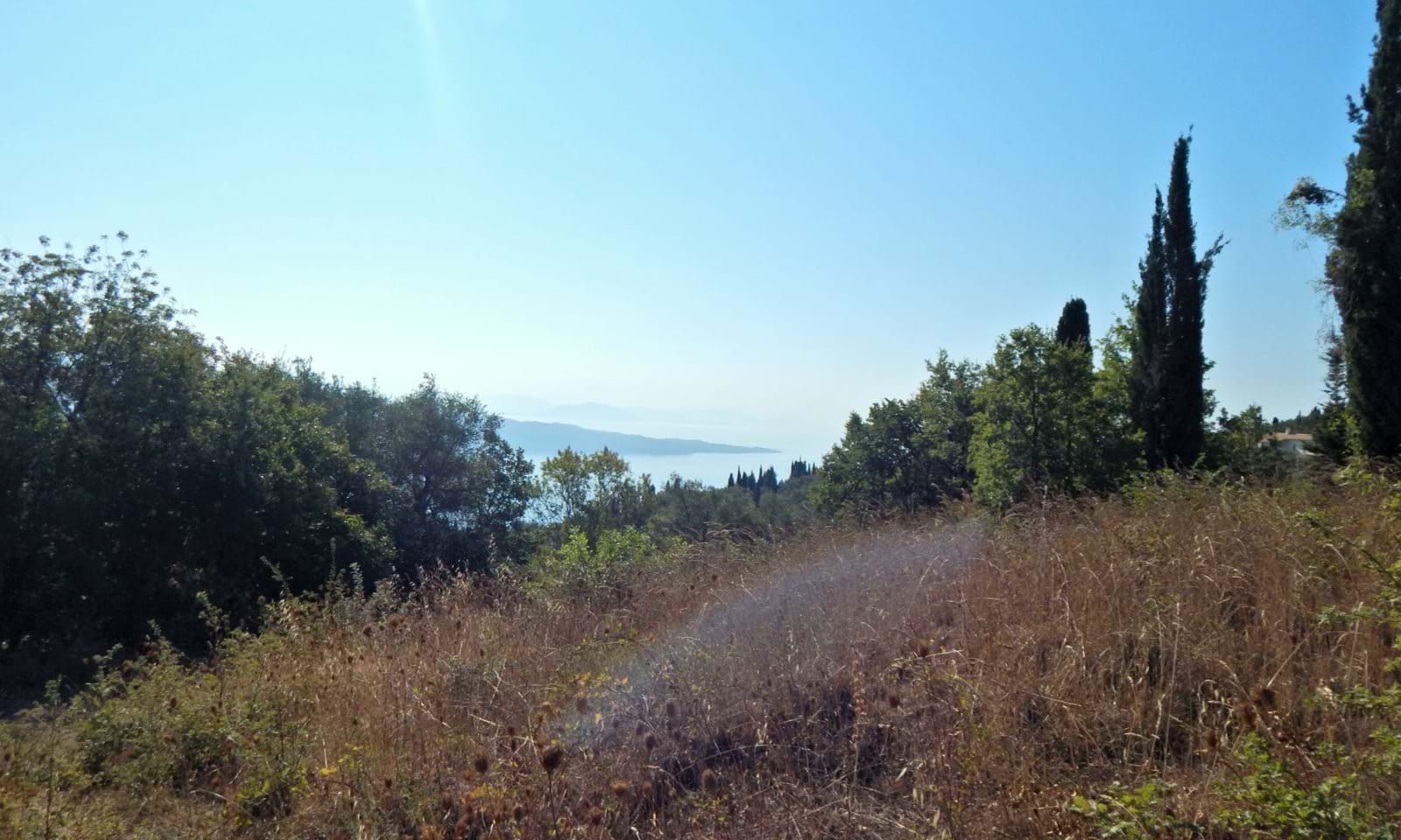 Listing photograph 3 of 3 of the land in Kokkini, published by Corfu Home Finders.