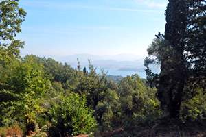 CHESTNUT LAND, Kokkokilas, Corfu
