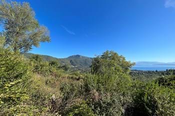 Image for property: 20237