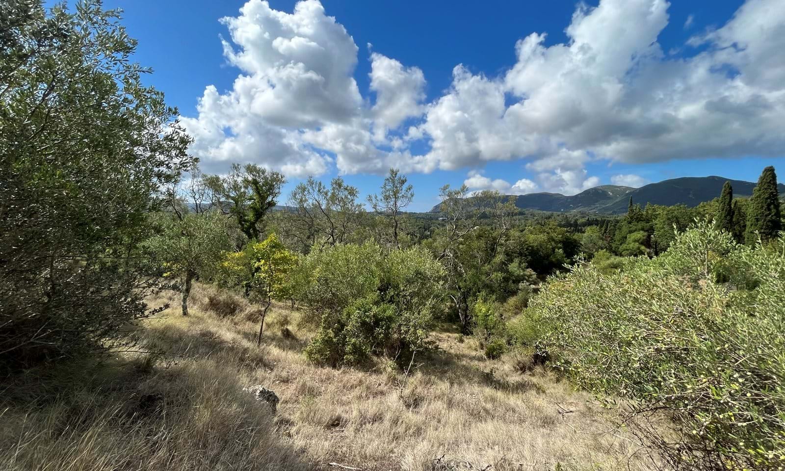 Listing photograph 3 of 6 of the land in Ano Korakiana, published by Corfu Home Finders.