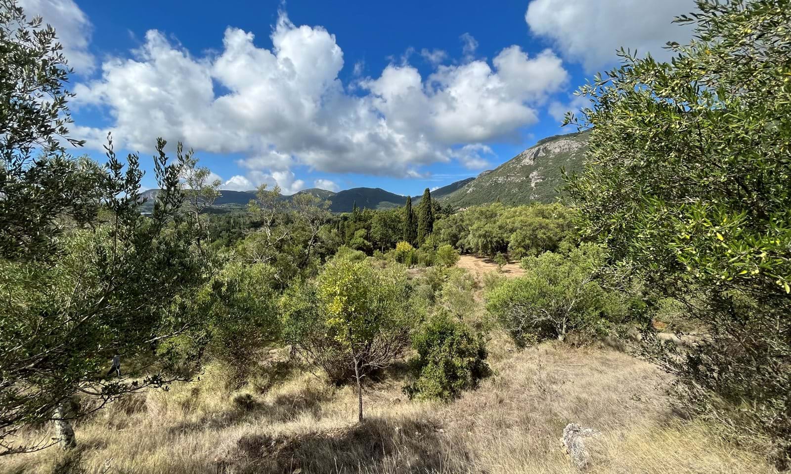 Listing photograph 1 of 6 of the land in Ano Korakiana, published by Corfu Home Finders.