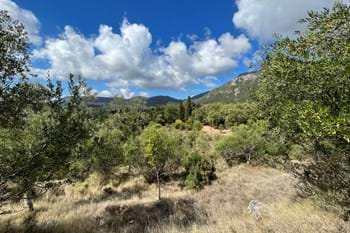 Image for property: 20239