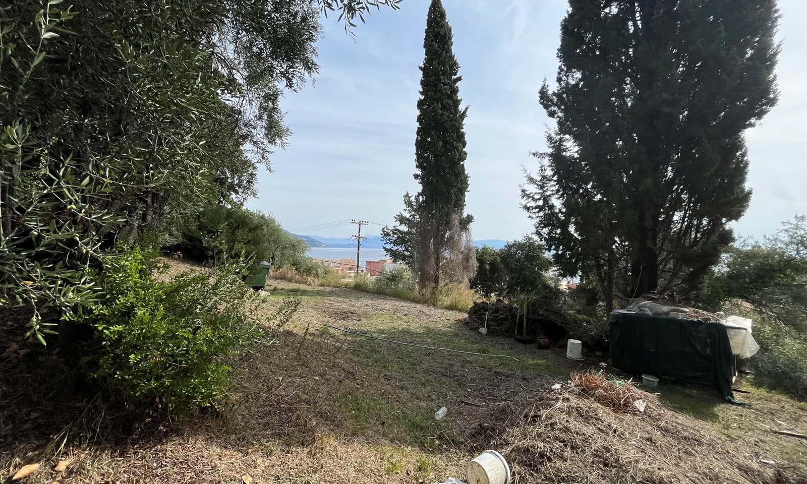 Listing photograph 7 of 8 of the land in Ipsos, published by Corfu Home Finders.
