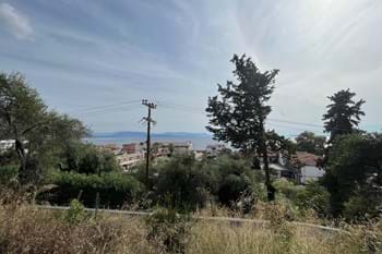 Image for property: 20241
