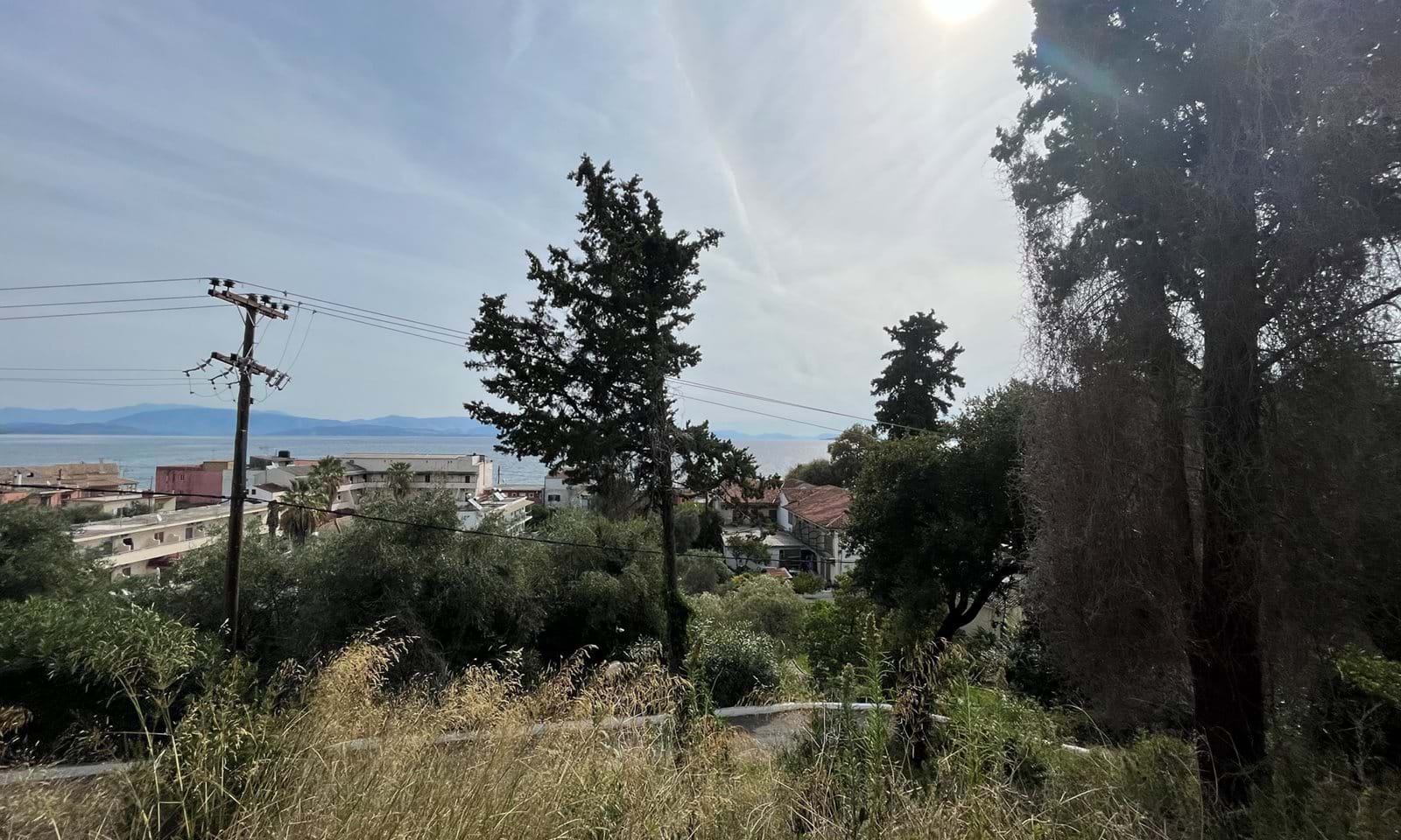 Listing photograph 3 of 8 of the land in Ipsos, published by Corfu Home Finders.