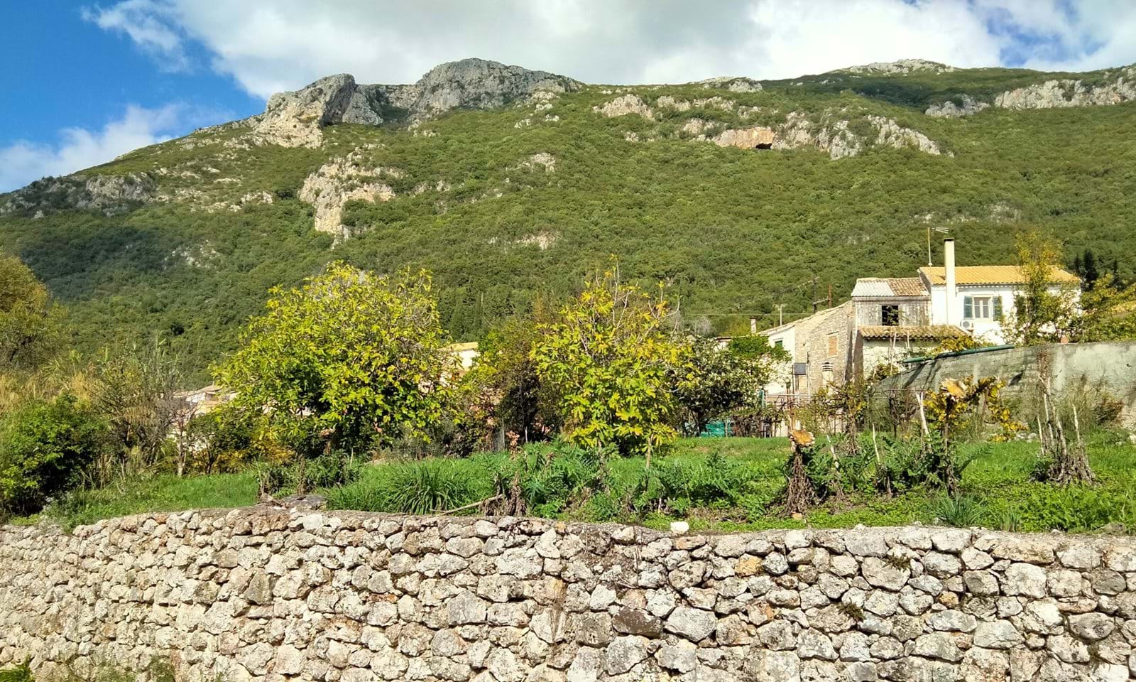 Listing photograph 2 of 4 of the land in Skripero, published by Corfu Home Finders.