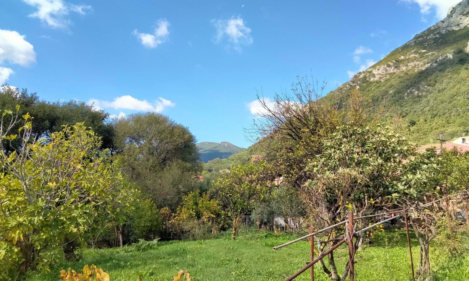 Listing photograph 3 of 4 of the land in Skripero, published by Corfu Home Finders.