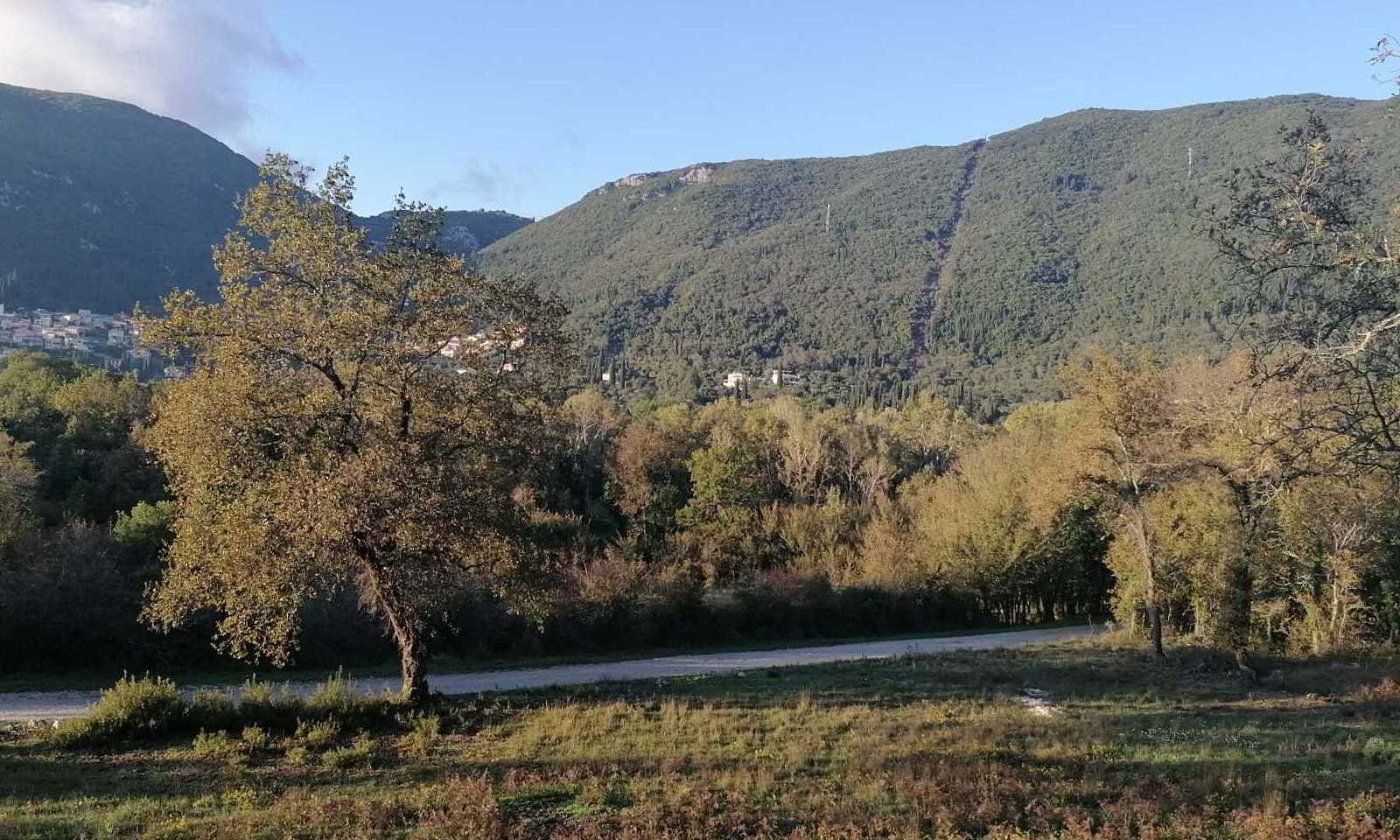 Listing photograph 4 of 6 of the land in Ano Korakiana, published by Corfu Home Finders.