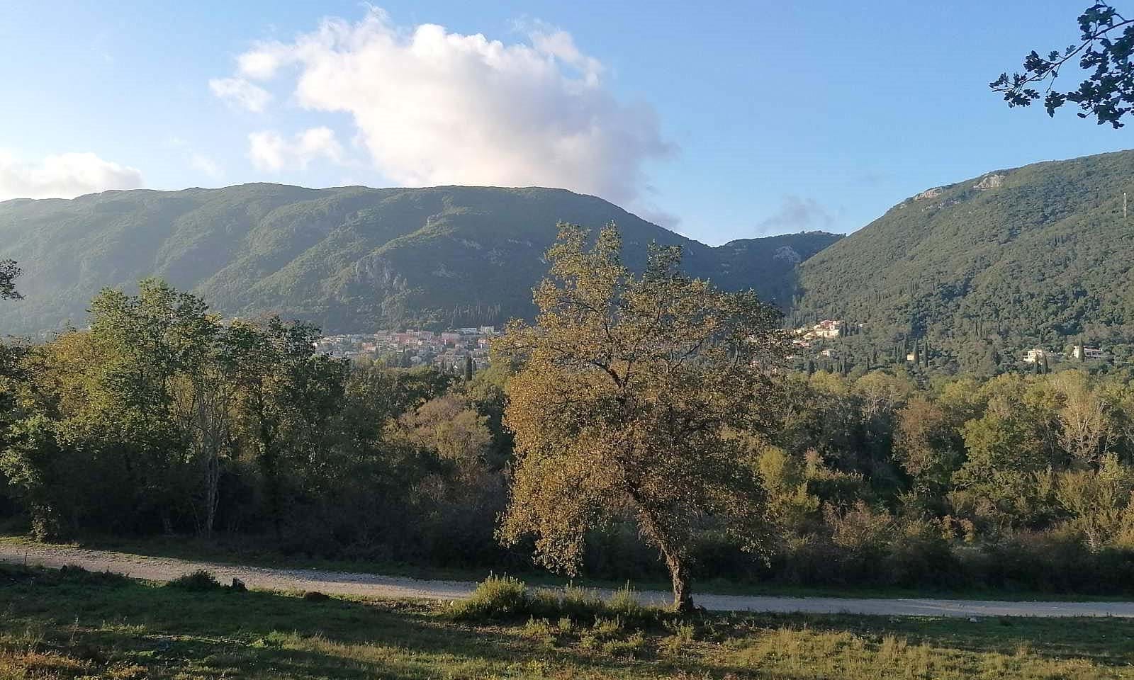 Listing photograph 1 of 6 of the land in Ano Korakiana, published by Corfu Home Finders.