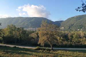SNOWDROP WOOD, Ano Korakiana, Corfu