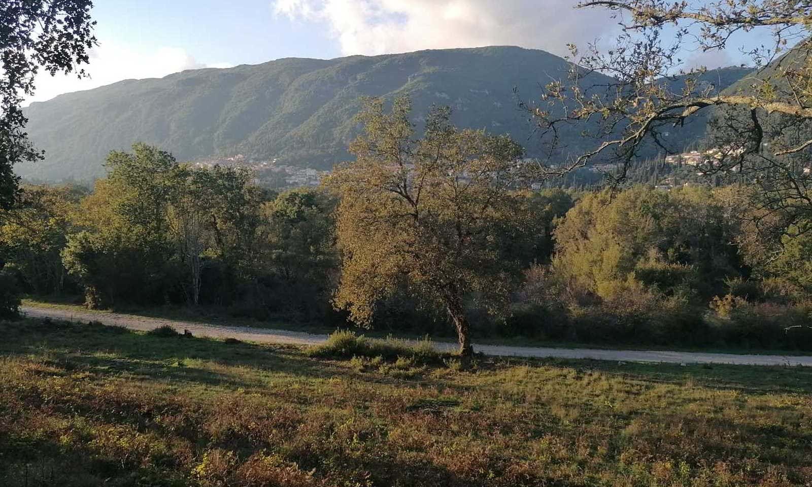Listing photograph 5 of 6 of the land in Ano Korakiana, published by Corfu Home Finders.