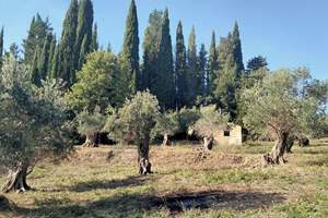 KIDONIA LAND, Doukades, Corfu