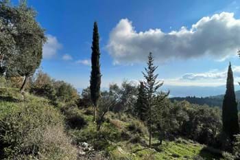 Image for property: 20273