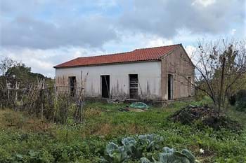 Image for property: 20276