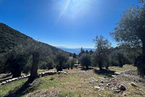 SUNLIGHT LAND, Viglatsouri, Corfu