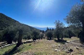 Image for property: 20283
