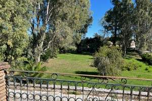 EUCALYPTUS HOUSE, Agnos, Corfu